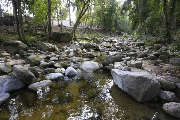 Honduras requiere un mayor compromiso y 'más ambición' ante cambio climático