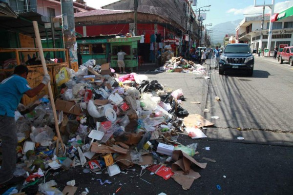 Salud vigila control de plagas en los mercados de San Pedro Sula