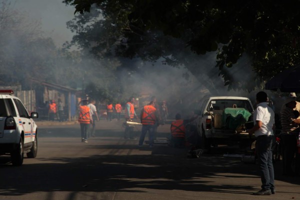 San Pedro Sula en emergencia por alza de zika