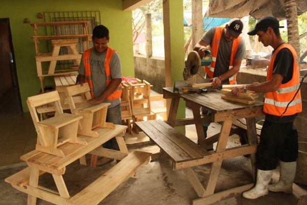 Convierten en pupitres y mesas los pinos dañados por el gorgojo