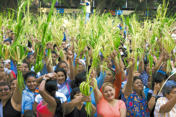 'Sólo Jesús es el camino, la verdad y la vida”