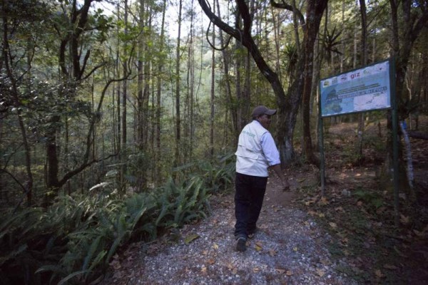 Celaque hace honor a su nombre porque el agua no le falta a las comunidades que le rodean.