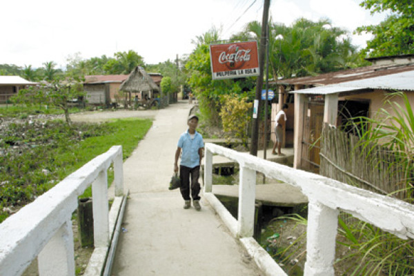 En la Isla de los Locos todos cuerdos