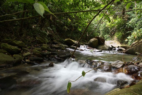 Las fuentes a agua natural son otra atracción en la zona de Cuyamel y dan un refrescante baño a los visitantes.