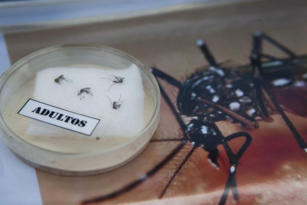 Obama pide actuar rápidamente contra el zika