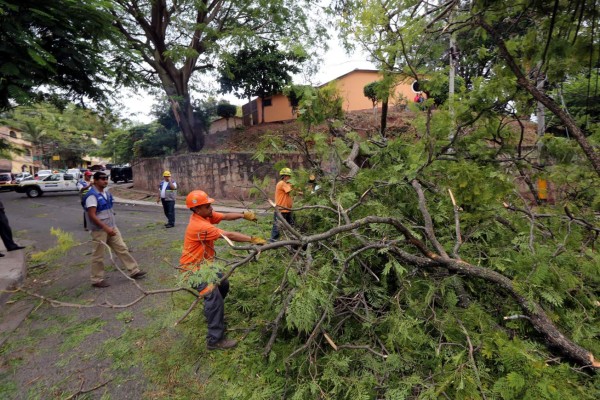 A partir de hoy pronostican condiciones secas en Honduras
