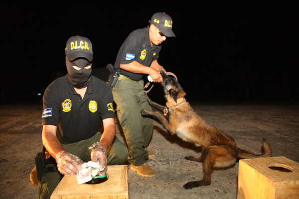 Analizan integrar la DLCN a la recién creada agencia del MP