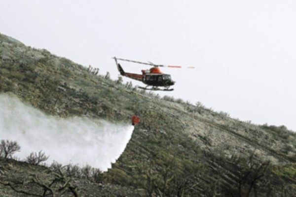 Incendios destruyen 2 mil hectáreas en canarias
