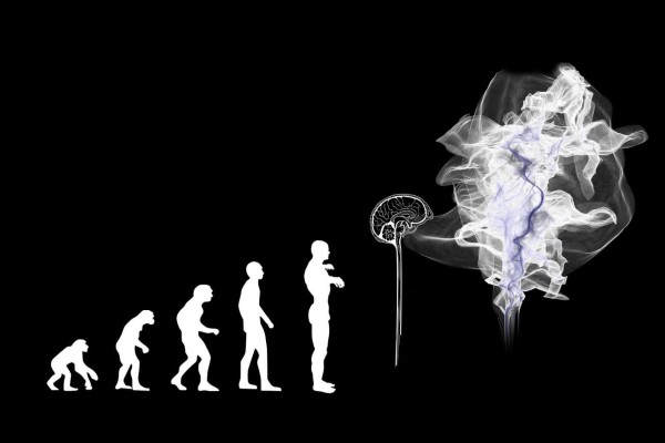 El cerebro humano moderno evolucionó hace menos tiempo de lo que se pensaba, indica un estudio