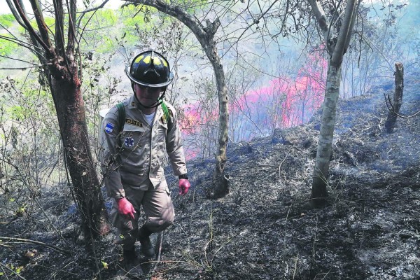 Foto: La Prensa