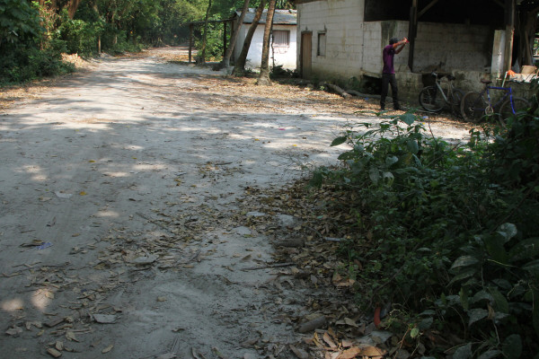Acribillan a un hondureño y a tres extranjeros en San Pedro Sula