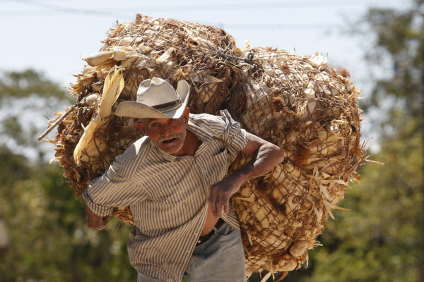 Honduras es 'un objetivo prioritario” de narcos