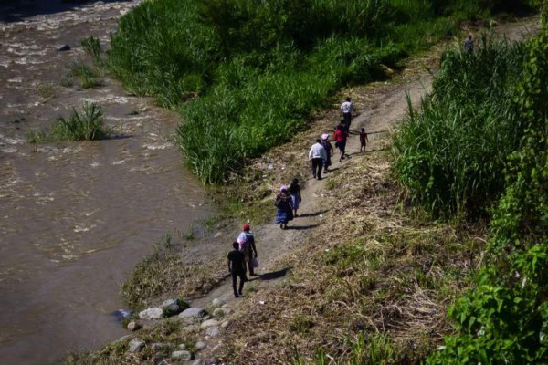 Coyotes trabajan con la venia de los carteles