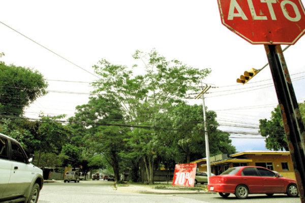 Baches y aguas negras de moda en San Pedro