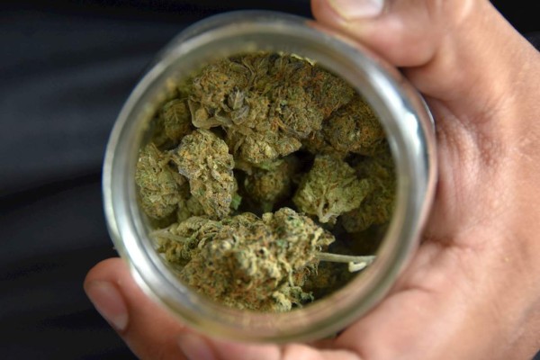 El Parlamento de Ecuador aprueba el uso medicinal del cannabis
