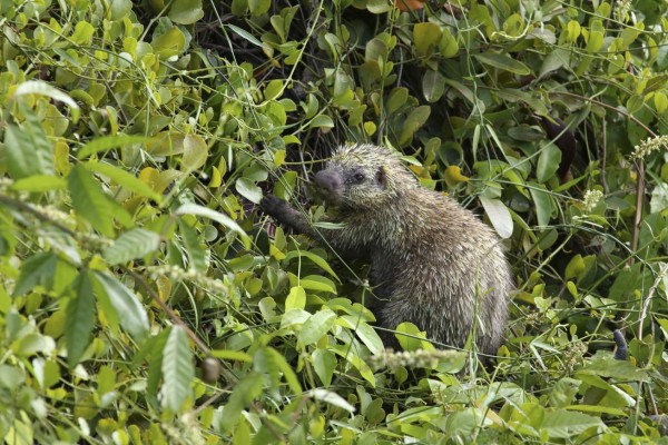 Cuero y Salado atrapa y encanta por su esplendor