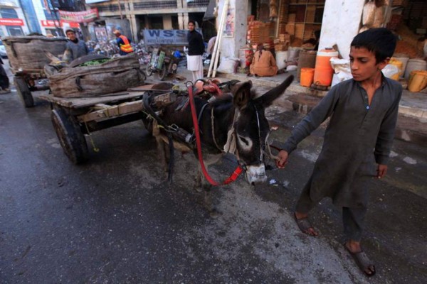Uno de cada doce niños en todo el mundo vive peor que sus padres  