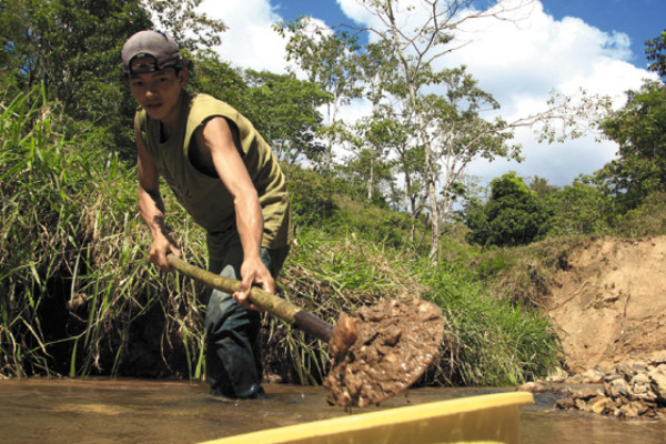 Escarban los ríos para hallar oro