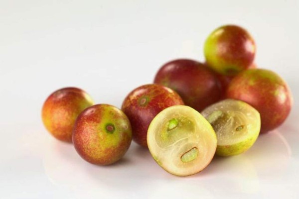 Científicos revelan beneficios para la salud de la fruta amazónica camu-camu