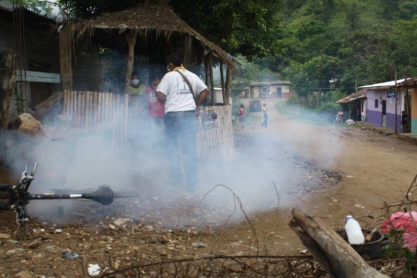 Honduras: Autoridades de Salud alertan sobre fiebre chikungunya