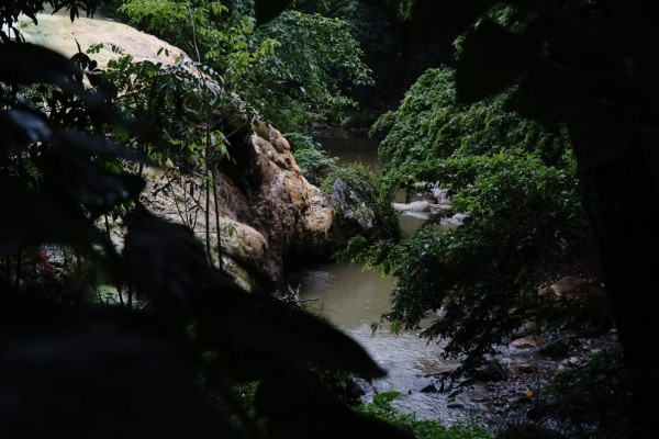 Ruta 504: ¡A Puerto Cortés por nuevas aventuras!