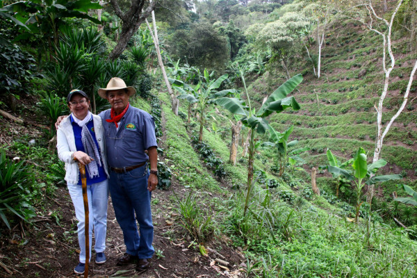 Un aromático recorrido por el proceso del café