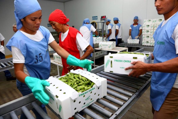 Empresarios hondureños celebran hoy el Día de la Libre Empresa