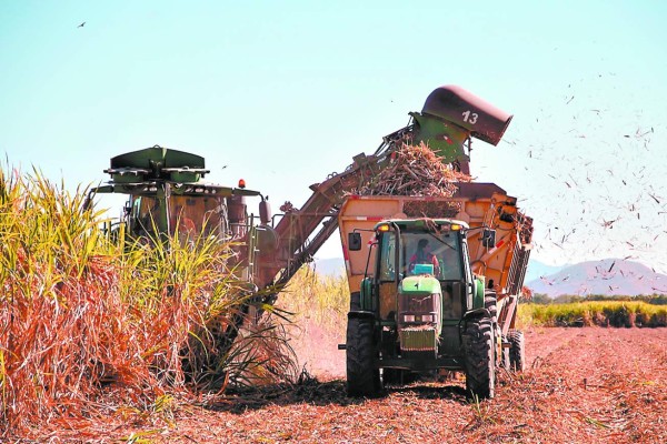 Foto: La Prensa