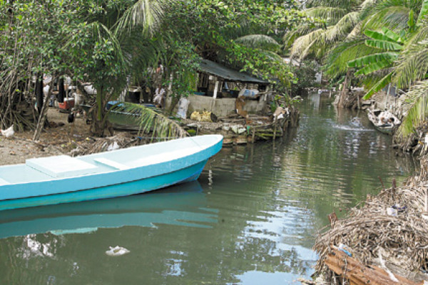 En la Isla de los Locos todos cuerdos