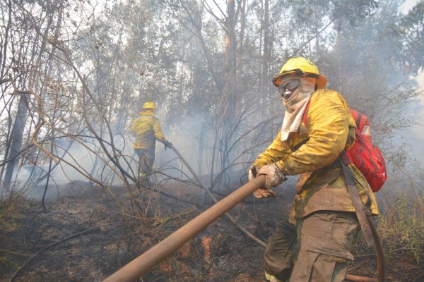 Empiezan a ceder incendios en Chile