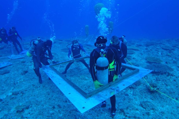 Corrientes marinas para producir electricidad