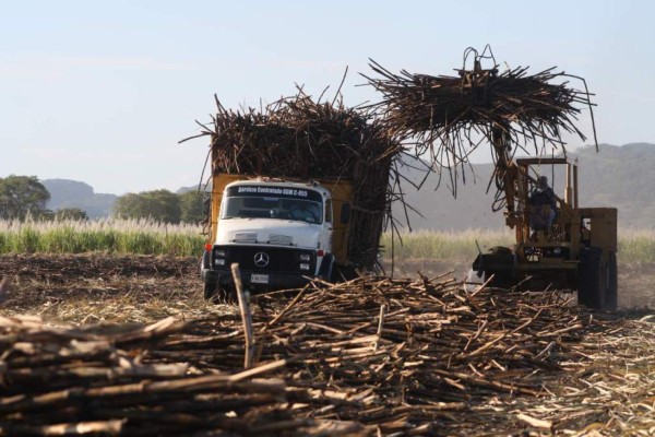 Maquila e industria azucarera ejecutan proyectos sostenibles