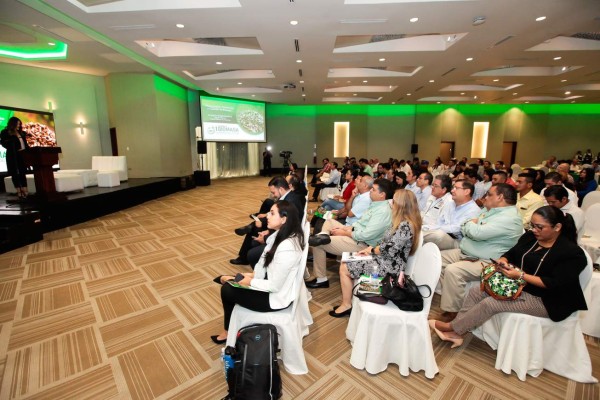 De 1,100 megas de energía renovable solo 150 son producidas por biomasa