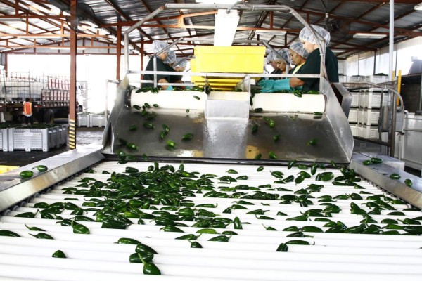 Andi capacitará a 1,000 trabajadores