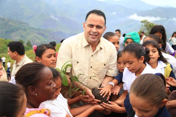 Inicia programa para reforestar El Merendón en San Pedro Sula