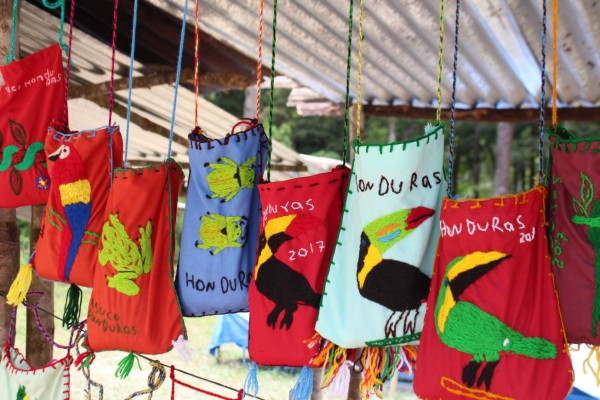 ¡Los tesoros del Cusuco! Biodiversidad en su máximo esplendor