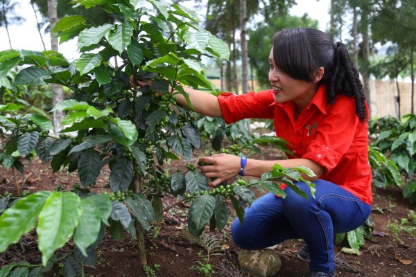 Hondureña supera a Nueva Zelanda y España en campeonato de barismo