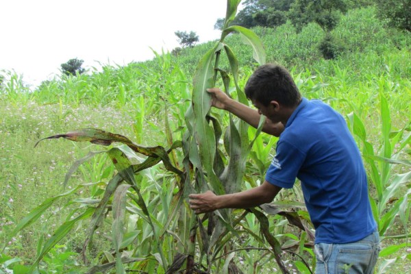 Prevén que la temporada lluviosa concluya en octubre
