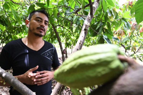 Honduras inaugura fábrica que exportará chocolate a Europa y Suramérica