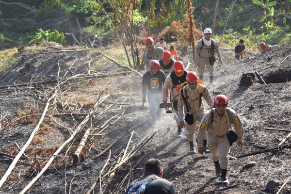 Investigan mano criminal en incendio en parque nacional de Atlántida