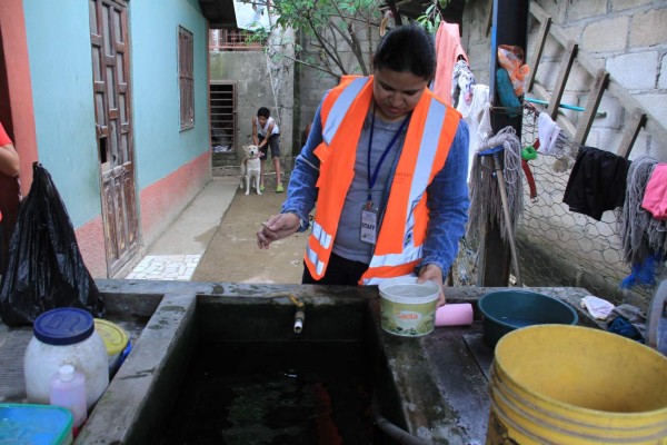 Hoy fumigarán la colonia Fesitranh