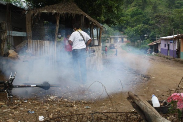 El personal de Salud trabaja en la destrucción de criaderos y fumigación.