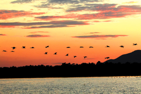 La Isla de los Pájaros