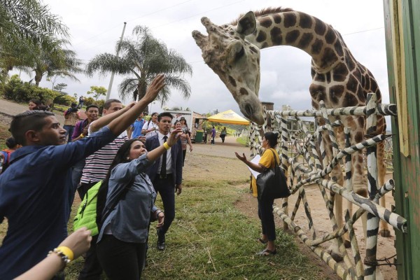 Están por ejecutar 12 solicitudes de aseguramiento de bienes