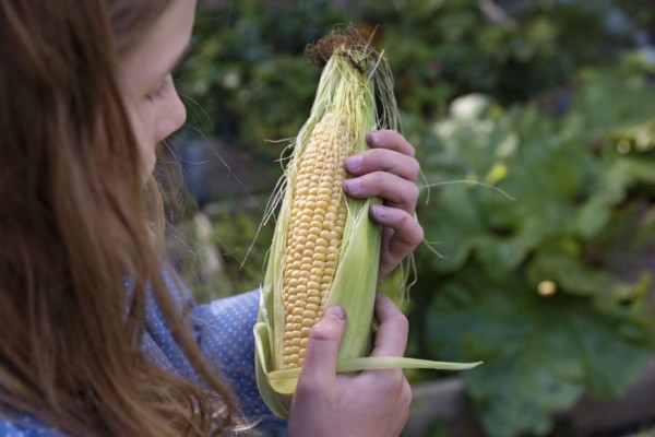 Joven casi queda calva cuando se sometía a un reto viral