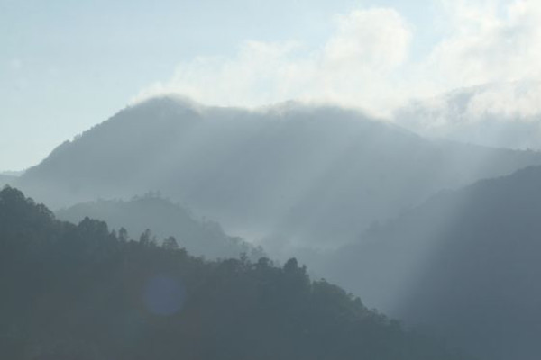 Descubra el impresionante Parque Nacional Cusuco