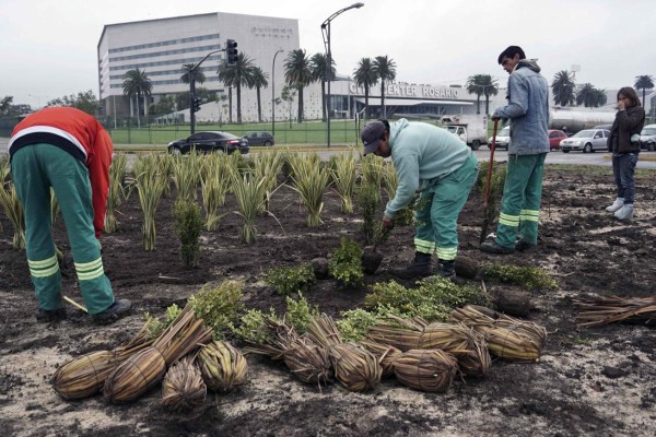 Workers plant bushes on June 28, 2017 in front of the venue, where Barcelona's football star Lionel Messi of Argentina and Antonella Roccuzzo will get married on June 30 in Rosario, Santa Fe province, Argentina.Less than two days before the wedding of the year between Lionel Messi and Antonela Roccuzzo, the city of Rosario was shielded with 300 security agents destined for a mega operation, which includes the temporary removal of mobile workers around the Casino where the party will take place. / AFP PHOTO / EITAN ABRAMOVICH