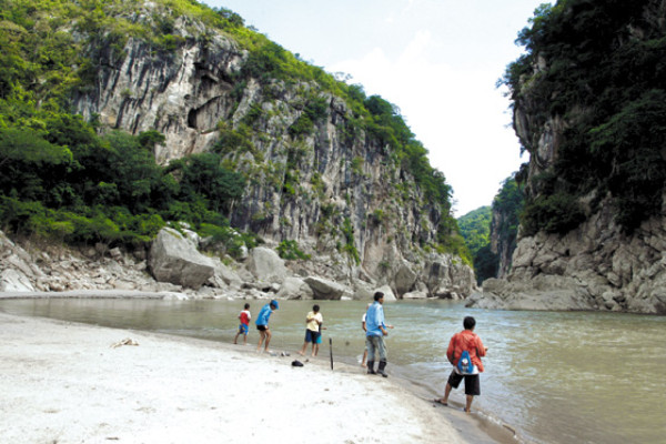 Sardinas saltarinas, atracción en Chinda