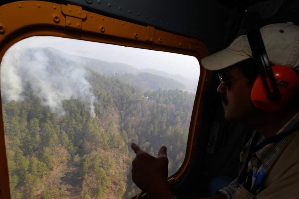 Desde las alturas resguardan bosques ante alarmante ola de incendios forestales