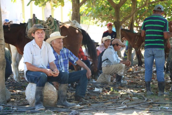 Foto: La Prensa